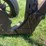 john-deere-14-image-18