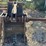 stump-grabber/pulverizer-image-2