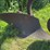 john-deere-16-image-7