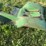 john-deere-fender-pan-image-4