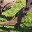 john-deere-55-abh-image-16