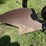 allis-chalmers-16”-one-bottom-pull-type-moldboard-plow-image-15