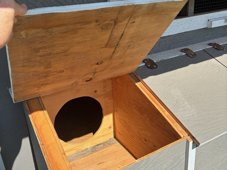 chicken-coop-image-4