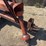 5’-allis-chalmers-brush-mower-image-9