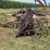 john-deere-13-shank-field-cultivator-image-8