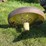 john-deere-14-image-19
