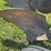john-deere-14-image-9