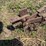 john-deere-13-shank-field-cultivator-image-9