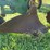 john-deere-f680-image-26