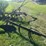 26”-one-bottom-horse-drawn-plow-image-3