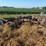 john-deere-11-image-3