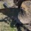 international-14-image-12