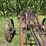 allis-chalmers-16”-one-bottom-pull-type-moldboard-plow-image-10