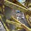 john-deere-36-image-7
