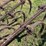 john-deere-13-shank-field-cultivator-image-21
