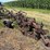 international-14-image-7