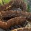 metal-tracks-image-3