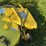 john-deere-deck-image-7