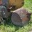 allis-chalmers-16”-one-bottom-pull-type-moldboard-plow-image-19