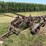 international-14-image-1