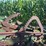 john-deere-214-image-22