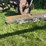 26”-one-bottom-horse-drawn-plow-image-17