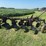 john-deere-55-abh-image-4