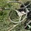 (2)-john-deere-mule-drives-image-4