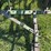 john-deere-66-image-34