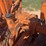 allis-chalmers-wd45-image-11