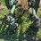 john-deere-front-mounted-cultivator-image-8