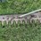 john-deere-no.-50-frame-mounted-sickle-mower-image-19