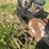 roper-front-tine-tiller-image-7