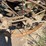 john-deere-290-image-31