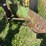 john-deere-14-image-14