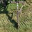 john-deere-14-image-9