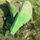 john-deere-pto-image-8