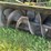 john-deere-snow-blower-image-5