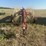 h&s-v-rake-image-13