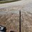 #26217-•-2022-bob-cat-t66-skid-steer-image-16