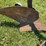 john-deere-16-image-8