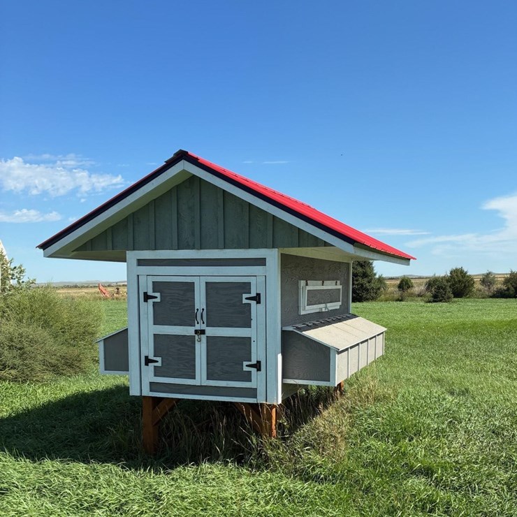 Chicken Coop