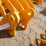 caterpillar-305-image-5
