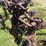 john-deere-14-image-29