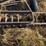 john-deere-11-image-27