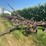 john-deere-14-image-6