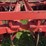allis-chalmers-snap-coupler-10’-disk-image-32