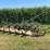 john-deere-14-image-2