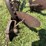 john-deere-14-image-12