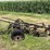 international-14-image-9